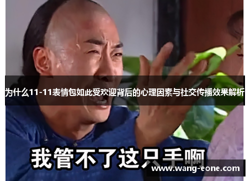为什么11-11表情包如此受欢迎背后的心理因素与社交传播效果解析