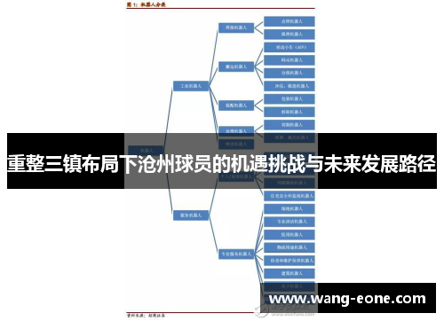 重整三镇布局下沧州球员的机遇挑战与未来发展路径