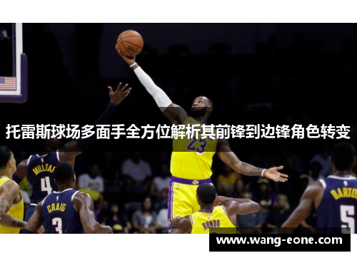 托雷斯球场多面手全方位解析其前锋到边锋角色转变